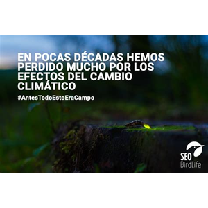 Antestodoestoeracampo.net